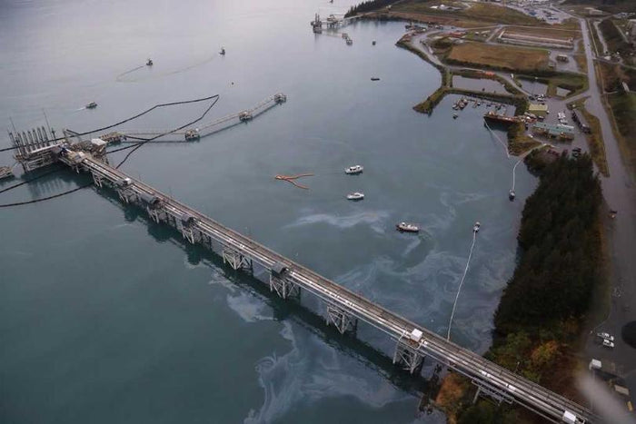 Green Solutions to Oil Spills